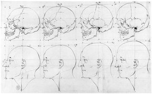 Transição do macaco para Apolo, ilustração da &39;Dissertação sobre as variedades naturais que caracterizam a fisionomia&39;, de H. Jansen, Paris, publicada em 1791 de Petrus Camper