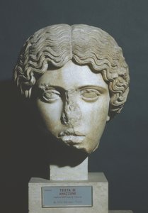 cabeça da Amazônia de Phidias Phidias