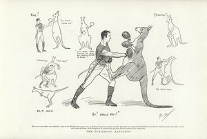 O Canguru Pugilista de Phil May