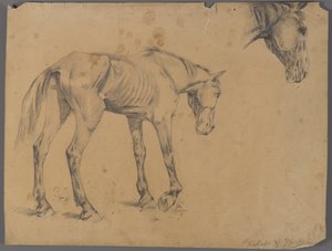 Cavalo e cabeça de cavalos (grafite no papel) de Philip H. Wolfrom