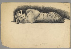 Tigre Adormecido (carvão sobre papel) de Philip H. Wolfrom