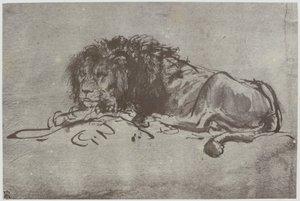 Rembrandt, Um Leão