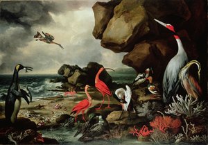 Um pinguim, um par de flamingos e outros pássaros exóticos, conchas e corais na costa de Philip Reinagle