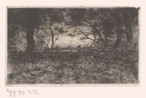 Prado com cerca e árvores
Kranenburg (título original)