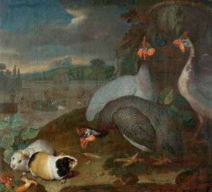Pintada com porquinho-da-índia