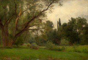 No parque de Kleinheubach am Main de Philipp Röth