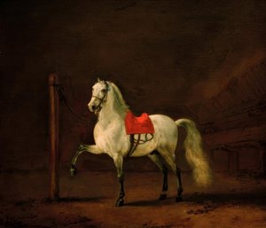 Um cavalo branco no estábulo de Philips Wouwerman