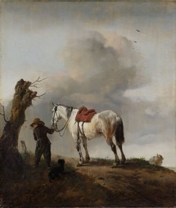 O cavalo cinza, c.1646