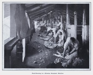 Tosquia à mão em um rio Woolshed, Merribee (foto a p/b) de Photographer Australian