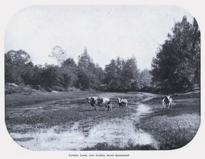 Lockyer Creek, perto de Laidley, South Queensland (foto a p/b) de Photographer Australian