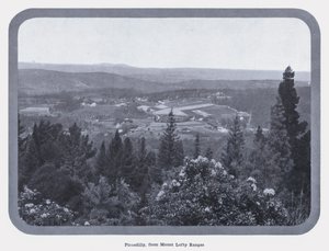 Piccadilly, de Mount Lofty Ranges (foto a p/b) de Photographer Australian
