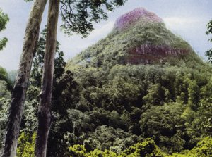 Queensland, Austrália: Monte Cordeaux (foto) de Photographer Australian