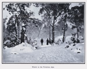 Inverno nos Alpes Vitorianos (foto a p/b) de Photographer Australian