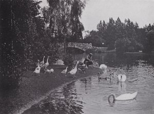 Lake, Beacon Hill Park, Victoria, British Columbia (foto a p/b) de Photographer Canadian