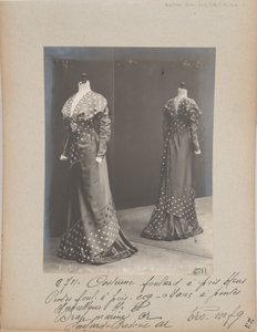 Página de Álbum: House of Worth, Vestido de Photographer French
