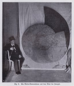 Fóssil de uma amonite gigante, criatura marinha do período Jurássico (foto a p/b) de Photographer German