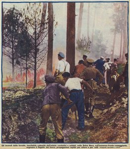 Camponeses e soldados combatendo um incêndio florestal na Floresta Negra, Alemanha de Photographer German