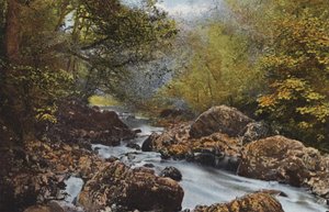 Irlanda: Em The Dargle, County Wicklow (foto a cores) de Photographer Irish
