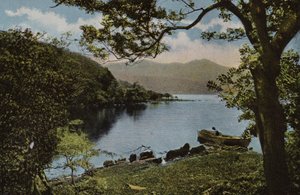 Irlanda do Sul: Em Innisfallen, Killarney (foto a cores) de Photographer Irish