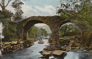 Irlanda do Sul: The Old Weir Bridge (Shooting the Rapids), Killarney (foto colorida) de Photographer Irish