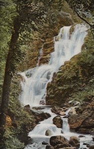 Irlanda do Sul: Torc Cascade, Killarney (foto colorida) de Photographer Irish