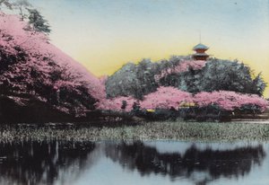 Japão, c.1912: Sankeiyen, Mr Hara
