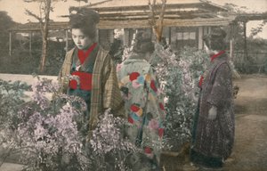 Mulheres japonesas com plantas de glicínias (foto colorida) de Photographer Japanese