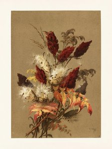 Sumagre e Algodoeiro, de Ellen Thayer Fisher de Pictufy