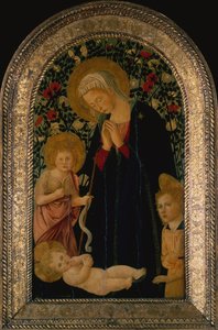 A Madona adorando o Menino com o Menino São João Batista, Anjo e Rosa Hedge atrás (tempera no painel)