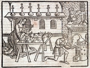 Medicina através das plantas e suas virtudes - in "Des profits champêtres et ruraux" de Pierre de Crescent, Paris de Piero da Crescentino