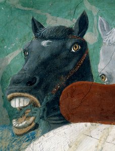 A Lenda da Verdadeira Cruz, a Recepção da Rainha de Sabá pelo Rei Salomão, detalhe de um cavalo, completou 1464 afrescos