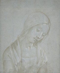 Busto de uma jovem mulher, ca. 1495. de Piero di Cosimo.