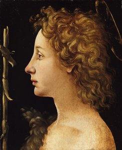 O jovem São João Batista, ca. 1480-82. de Piero di Cosimo