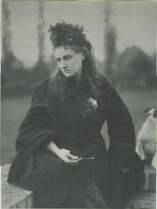 Os cães