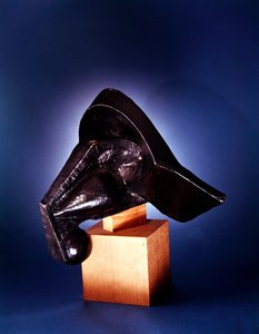 Cabeça de cavalo de Pierre Maurice Raymond Duchamp Villon