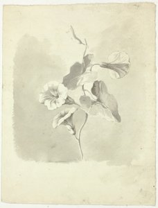 Glórias da manhã de Pierre Antoine Mongin
