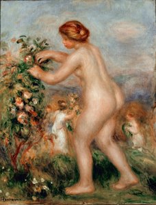 Hino das flores. A mulher nua ceuillating roses tem uma roseira. Pintura de Pierre Auguste Renoir (Pierre-Auguste