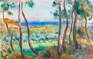 Pinheiros perto de Cagnes, c. 1910 (óleo sobre tela) de Pierre Auguste Renoir