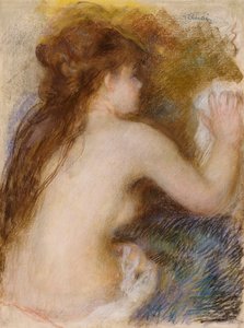 Vista traseira, de, um, mulher nua, c.1879