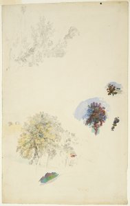 Estudos de árvores e folhagens de Pierre Auguste Renoir