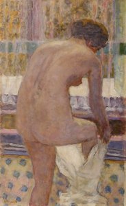 Vestir Nude