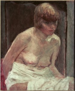 Torso de mulher jovem em roupão branco de Pierre Bonnard