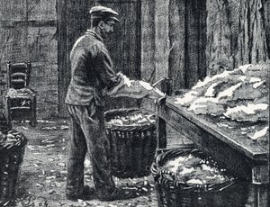 Couro: divisão de peles de coelho para fazer gravura de couro de "Excursion a travers les metiers" por Pierre Calmette Private Collection