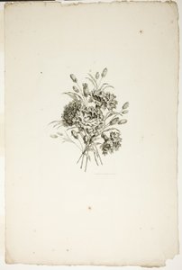 Buquê com Cravos, da Coleção de Diferentes Buquês de Flores, Inventado e Desenhado por Jean Pillement e Gravado por P. C. Canot de Pierre Charles Canot