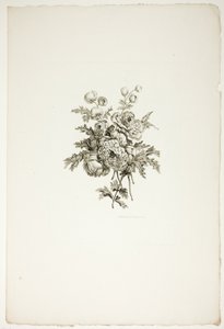 Bouquet com peónias, da coleção de diferentes ramos de flores, inventado e desenhado por Jean Pillement e gravado por P. C. Canot de Pierre Charles Canot