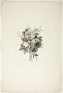 Buquê com Rosas, da Coleção de Diferentes Buquês de Flores, Inventado e Desenhado por Jean Pillement e Gravado por P. C. Canot