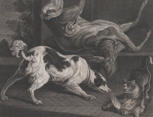 Cães e natureza morta, 1778