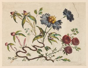 Gravura, Ramos de Flores, de "Recueil de Differentes Fleurs de Fantaisie Dans le Goût Chinois". de Pierre Charles Canot