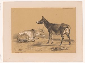 Estudo de dois burros Cooper