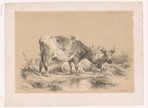 Estudo de duas vacas
Estudos com animais por Cooper (título da série)
Études d